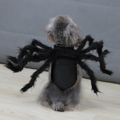 Spider Pet Costume Harness – Creepy Crawly Halloween Outfit for Cats & Dogs