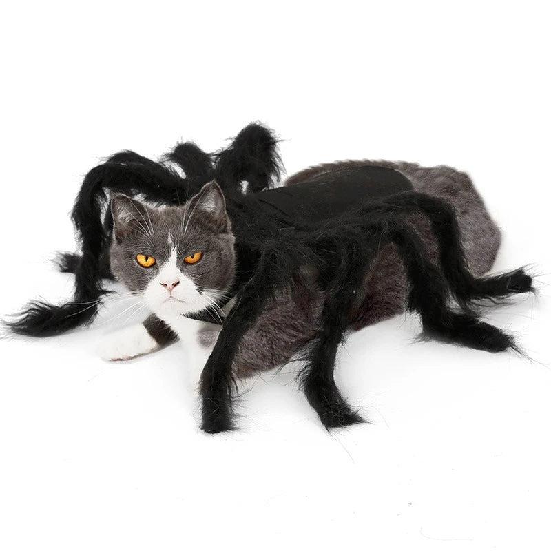 Spider Pet Costume Harness – Creepy Crawly Halloween Outfit for Cats & Dogs