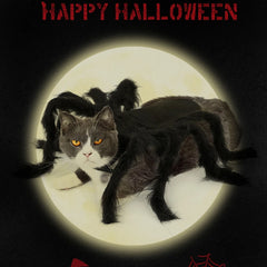 Spider Pet Costume Harness – Creepy Crawly Halloween Outfit for Cats & Dogs
