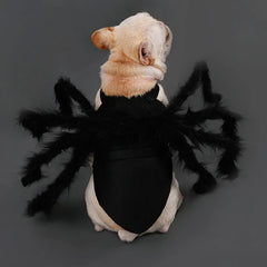 Spider Pet Costume Harness – Creepy Crawly Halloween Outfit for Cats & Dogs