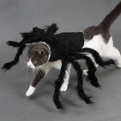 Spider Pet Costume Harness – Creepy Crawly Halloween Outfit for Cats & Dogs