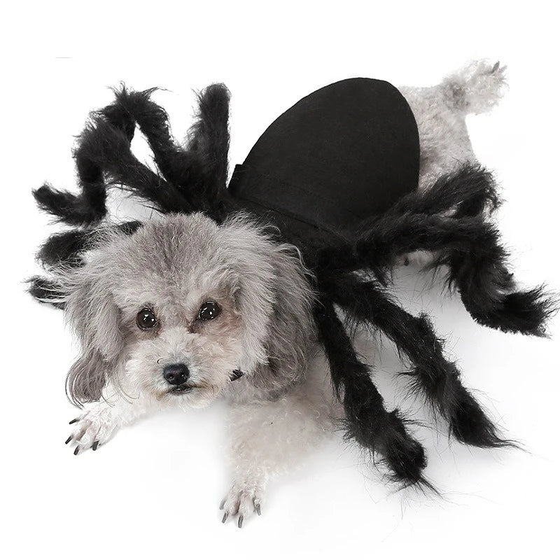 Spider Pet Costume Harness – Creepy Crawly Halloween Outfit for Cats & Dogs