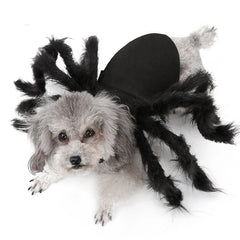 Spider Pet Costume Harness – Creepy Crawly Halloween Outfit for Cats & Dogs